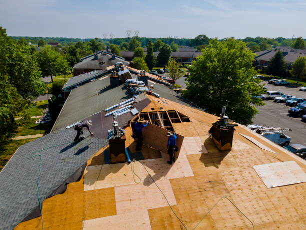 Best Flat Roof Repair Services  in Moscow, PA